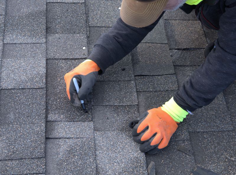 Repaired Asphalt Roof
